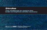 Stroke - qbi.uq.edu.au · stroke costs a staggering 49 million DALYs annually on a global scale. In Australia, 50 000 people suffer a stroke each year, leaving them with physical