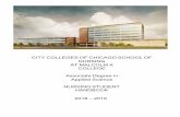 CITY COLLEGES OF CHICAGO SCHOOL OF NURSING AT …. Rice 2018-2019 City...nursing student journey. This student handbook includes a nursing program description, curriculum, policies,