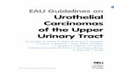 Urothelial Carcinomas of the Upper Urinary Tract · UROTHELIAL CARCINOMAS OF THE UPPER URINARY TRACT - UPDATE MARCH 2016 5 2. METHODS 2.1 Data identification For the 2016 UTUC Guidelines,