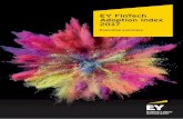 EY FinTech Adoption Index 2017€¦ · 8 | EY FinTech Adoption Index 2017 We asked the leaders of FinTech firms from different regions, and at different levels of maturity, for their
