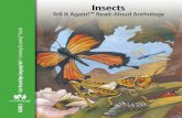 Insects - Core Knowledge Foundation · Explain that insects are the largest group of animals on Earth Explain that there are many different types of insects Explain that most insects