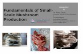 Fundamentals of Small- Scale Mushroom Professor, School …1:15 - 1:30 - Introductory Mycology 1:30 - 1:45 - The Mushroom Market 1:45 - 2:00 - The Nutritional Value of Fungi 2:00 -