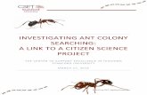 INVESTIGATING ANT COLONY SEARCHING: A LINK TO A …dmgordon/cgi-bin/acs/... · 3/27/2015  · Overview . The . Center to Support Excellence in Teaching (CSET) has developed a lesson
