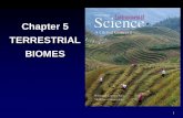 Chapter 5 TERRESTRIAL BIOMES...2 Outline • Terrestrial Biomes Tundra Coniferous, Deciduous and Rain Forest Grassland, Savanna, Chaparral Desert • Marine Ecosystems Coasts, Open