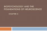 Biopsychology and the Foundations of Neuroscience Chapter 3frysciencehhs.weebly.com/uploads/7/0/6/9/7069224/... · The Brain, The Mind and Psychology The human brain is the most complex