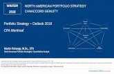Portfolio Strategy Outlook 2018 CFA Montreal Portfolio Strategy … · North American Portfolio Strategist / Quantitative Analyst Canaccord Genuity is the global capital markets group