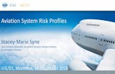 Aviation System Risk Profiles · • the multi-dimensional application of information and indicators to aviation system risk profiles • organizations to enhance hazard identification