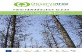 Field Identification Guide - Observatree · Based on information available in August 2015. In Britain, Dothistroma needle blight (DNB), also previously known as red band needle blight,