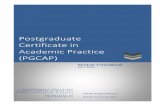 Postgraduate Certificate in Academic Practice (PGCAP) · Postgraduate Certificate in Academic Practice (PGCAP) S o u t h a m p t o n E d u c a t i o n S c h o o l ( C H E P ) C e