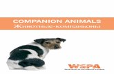 COMPANION ANIMALS Животные-компаньоны–ивотные-компаньоны.pdf · Бездомные животные могут стать проблемой по