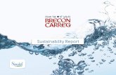 Sustainability Report - Brecon Carreg€¦ · Platform 4 Carbon footprint Platform 5 Water footprint Our 2020 goal: Water footprint ≤ 1.6 litre to produce one litre of bottled water