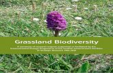 Grassland Biodiversity - James Hutton Institute · Grassland Biodiversity A summary of research outputs supported or facilitated by the Environmental Change Programme of the Scottish