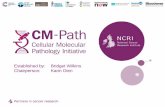 Established by: Bridget Wilkins Chairperson: Karin Oiencmpath.ncri.org.uk/wp-content/uploads/2017/02/CM-Path-Karin-Oien-1.pdf · Cancer Research UK Stratified Medicine Programme CRUK