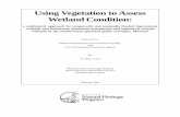 Using Vegetation to Assess Wetland Conditionmtnhp.org/plants/reports/DEQ_Wetland_Assess.pdf · Using Vegetation to Assess Wetland Condition: ... Geology and Climate ... their importance