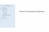 Bone Formation and Joints - Virtual MicroscopyLab 7 –Bone Formation and Joints Slide 130: Membranous Bone, Fetal Skull A560 –Fall 2015 I. Introduction II. Learning Objectives III.