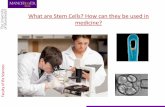 What are Stem Cells? How can they be used in medicine? · stem cells. EMBRYONIC stem cells can produce all cell types, whereas ADULT stem cells can only produce SOME cell types and