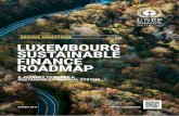 RÉSUMÉ ANALYTIQUE LUEMBOURG SUSTAINABLE FINANCE … · 2018-10-03 · 4 | Luxembourg Sustainable Finance Roadmap | Résumé analytique Ces facteurs ont attiré des banques internationales,