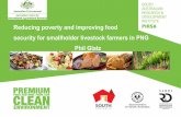Reducing poverty and improving food security for ... · Reducing poverty and improving food security for smallholder livestock farmers in PNG Phil Glatz. PNG. ACIAR projects in PNG
