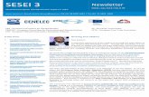 SESEI 3 Newsletter - EU Project SESEI€¦ · 21. Joint CEN/TC 312 thermal solar systems & components’ Solar Heat Europe/ESTIF workshop on next generation of CEN/TC 321 ‘Solar