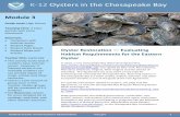 K-12 Oysters in the Chesapeake Bay - Microsoft...plentiful throughout the Bay and a very important part of the ecosystem. This is why restoring oysters is an essential strategy in