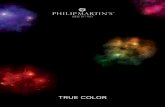 TRUE COLOR - cdn.shoplightspeed.com...True Color is an extremely versatile color. By selecting the different activators and by acting on their dilution, multiple services can be obtained.