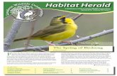 Habitat Herald - Loudoun Wildlife Conservancy...Habitat Herald, Spring 2016 Loudoun Wildlife Conservancy 2 Message from our President by Katherine Daniels T his year marks the 100th