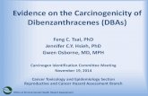Evidence on the Carcinogenicity of …...Evidence on the Carcinogenicity of Dibenzanthracenes (DBAs) Feng C. Tsai, PhD Jennifer C.Y. Hsieh, PhD Gwen Osborne, MD, MPH Carcinogen Identification