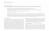 Review Article CytomegalovirusReactivationinUlcerativeColitisPatientsdownloads.hindawi.com/archive/2011/282507.pdf · increased colonic CMV reactivation in ulcerative colitis patients