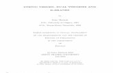 String theory, dual theories and D-branessummit.sfu.ca/system/files/iritems1/10257/etd2023.pdf · String Theory, Dual Theories and D-Branes Examining Committee: Prof. M. Vetterli