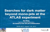 Searches for dark matter beyond mono-jets at the ATLAS ... · Searches for dark matter beyond mono-jets at the ATLAS experiment Rui Wang Argonne National Laboratory On behalf of the