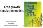Crop growth simulation models - University of California, Davisgfc.ucdavis.edu/.../_static/talks/day4_5_crop_simulation.pdf · 2016-09-13 · Crop growth simulation models Camila