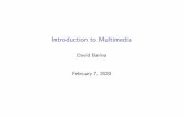 Introduction to Multimedia - Faculty of Information ...ibarina/pub/introduction-en.pdfIntroduction to Multimedia David Barina February 7, 2020. What is Multimedia? Multimedia is the
