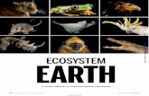 Downloaded from EARTH - Science...PHOTOS: JOEL SARTORE, NATIONAL GEOGRAPHIC PHOTO ARK/NATIONAL GEOGRAPHIC CREATIVE These critically endangered animals, part of the Photo Ark project,