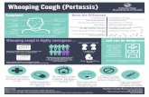 Whooping Cough (Pertussis) Indiana State Department of Health Infographic_Color_Two-Sided_FINAL.pdfآ 