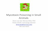 Mycotoxin Poisoning in Small Animals · Mycotoxin Poisoning in Small Animals Deon van der Merwe BVSc PhD Head: KSVDL Toxicology Section dmerwe@vet.ksu.edu 785 532 4333 . Overview