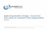 Agile Organization Design: A Lever for Executives to ... · Agile Organization Design: A Lever for Executives to Transform Their Organization Webinar. ... Slide 4 Agile Organization