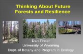 Thinking About Future Forests and Resilience Deer... · Bark Beetle Biology/Ecology •Several “aggressive” bark beetle species now active (all are native to Wyoming and Western