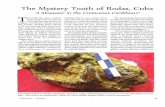 The Mystery Tooth of Rodas, Cuba - redciencia.curedciencia.cu/geobiblio/paper/2016_Ceballos_Fossil... · giant marine reptiles (long necked plesiosaurs, ichthyosaurs, saltwater crocodiles,