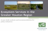 Ecosystem Services in the Greater Houston Region · Recharging of aquifers for water supply Protection from damage by hurricanes and tropical storms ... The ecological diversity seen