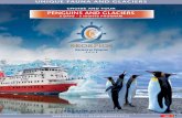 CRUISE AND TOUR PENGUINS AND GLACIERSskorpios.cl/wp-content/uploads/2016/prog_especiales/Pinguinos y... · las Montañas en route to Bernal Glacier. 11:15 hrs. Disembarking on the