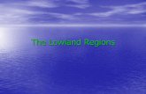 The Lowland Regions - Canadian geographymrhalliday.weebly.com/.../lowlands_presentation.pdf · The Great Lakes-St. Lawrence Lowlands •The smallest of the regions in terms of physical