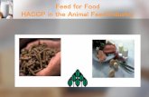Feed for Food HACCP in the Animal Feed Industryanuragaja.staff.ipb.ac.id/files/2012/02/Lecture-14d-HACCP-feed.pdf · Aspergillus), virus infections (Hepatitis, Creuzfeld-Jacobs-Disease)