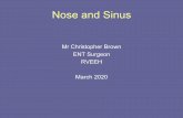 Mr Christopher Brown ENT Surgeon RVEEH March 2020 and sinus topics... · membranes of the nasal cavity and paranasal sinuses Correct term actually rhinosinusitis . Sinusitis Acute