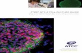 tips and techniques for culturing stem cells/media/PDFs/Culture Guides/iPSCguide.pdf · stem cells (mESC). Furthermore, some stem cells (such as iPSCs and hESCS) must have their media