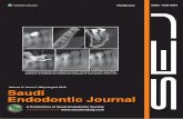 Volume 8 / Issue 2 / May-August 2018fac.ksu.edu.sa/sites/default/files/retrieval... · Materials and Methods: Records of 450 endodontic cases with separated endodontic instruments