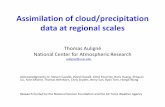 Assimilation of cloud/precipitation data at regional scales · Assimilation of cloud/precipitation data at regional scales Thomas Auligné National Center for Atmospheric Research.
