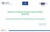 Natural Capital Financing Facility (NCFF)lifeprogramhrvatska.hr/wp-content/uploads/2017/03/Presentation-NCFF... · 2017-03-21  · mechanisms; • pro-biodiversity businesses/corporates.
