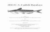2013 U. S. Catfish Database - agecon.msstate.edu · U.S. farm-raised catfish was ninth in the 2012 “Top 10” fish and seafood consumption list for Americans, who consumed 14.6