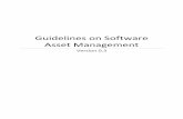 Guidelines on Software Asset Management · hardware & software, networking, change management and capacity building. This is a perfect scenario for the deployment of a robust software