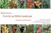Welcome to. . . Fruit for an Edible Landscape for...Apricots •The Bad •Early bloom (frost damage) •Some insect and disease issues Benefit from fruit thinning •The Good •Good